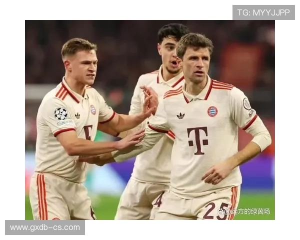 德甲球队在欧战中的历届表现与战绩